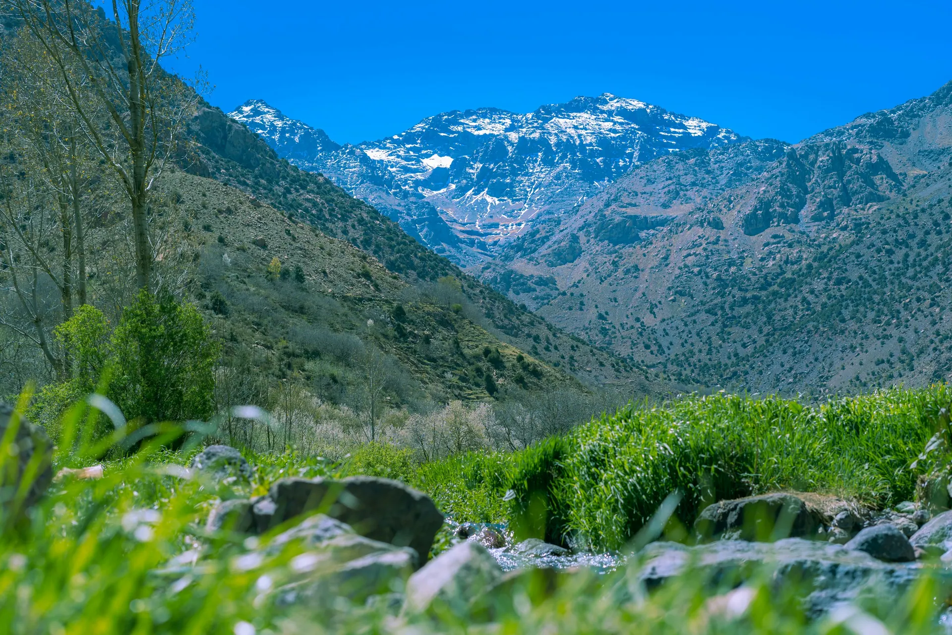 Atlas Mountains Imlil Day Trip