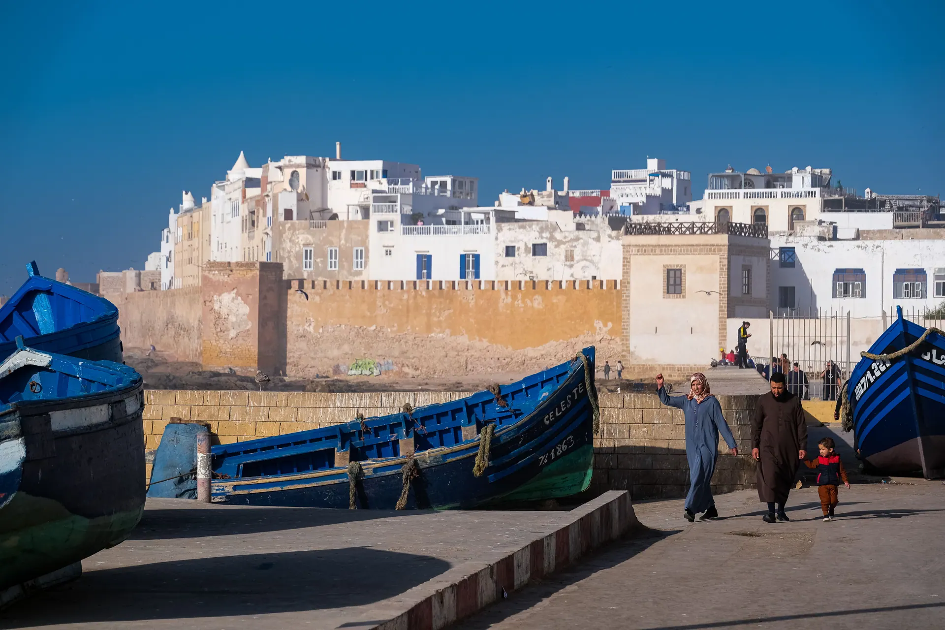 Essaouira Coastal Day Trip